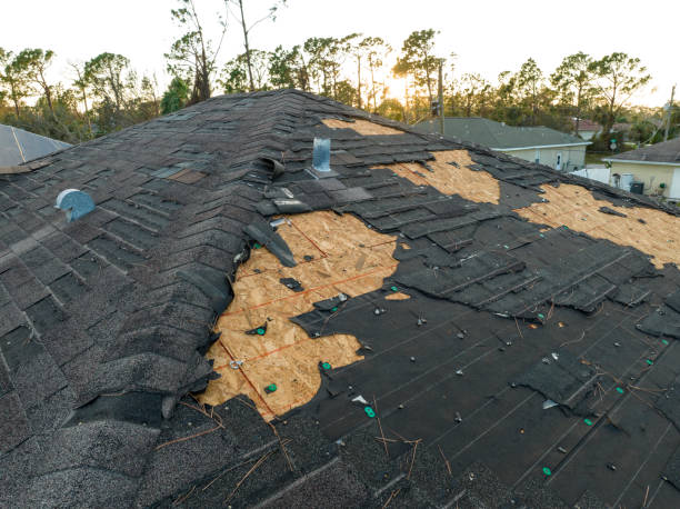 Best Skylights  in Frisco, TX