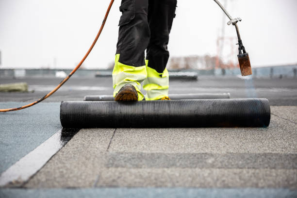 Best Roof Insulation Installation  in Frisco, TX