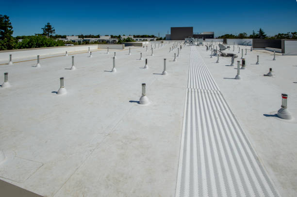 Best Roof Leak Repair  in Frisco, TX